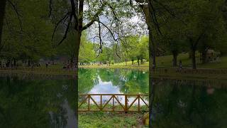 Ilidžansko izletište Stojčevac tipičan proljetni dan stojčevac park ilidža proljeće sarajevo [upl. by Fanchan134]