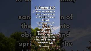 Share the Good News Bible Verse of the Day 1 Peter 12 KJV [upl. by Uot]