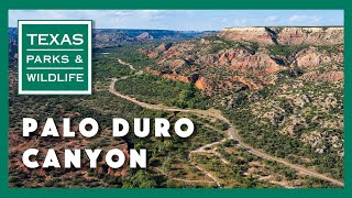 Palo Duro Canyon State Park Texas [upl. by Klotz]