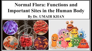 Normal Flora by Dr Umair Khan I Functions and Important Sites of Normal Flora in the Human Body [upl. by Gavette950]