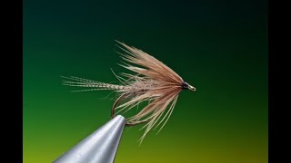 Fly Tying a Hares Ear soft hackle wet fly with Barry Ord Clarke [upl. by Duer]