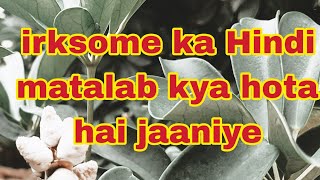 irksome ka Hindi matalab kya hota hai jaaniye [upl. by Lorette]