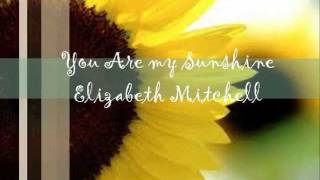 Elizabeth Mitchell  You Are My Sunshine Lyric Video [upl. by Saudra]