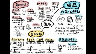 DSE BIO 生物科一圖溫一課系列－02 生命基本單位 [upl. by Cloutman268]