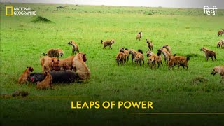 Leaps of Power  Animal Fight Club  Full Episode  S4  E5  National Geographic [upl. by Langbehn]