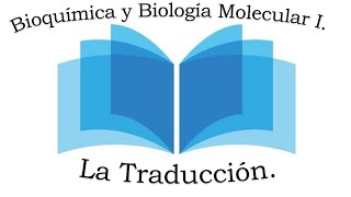 La Traducción síntesis de proteínas Bioquímica y Biología Molecular I [upl. by Themis912]