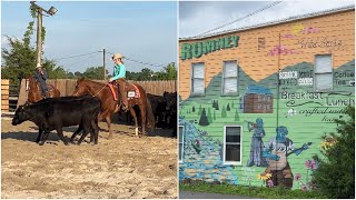 National Reined Cow Horse Competition  A quick stop  The Wild Roots Cafe [upl. by Wolgast61]