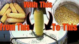 A Homemade Corn Sheller Quick and Easy Ear Corn to Shelled Corn [upl. by Eelan]