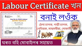 Online apply for Labour Certificate  Download Labour certificate [upl. by Tiler]