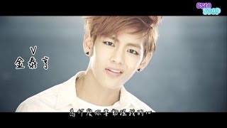 認人版BTS 방탄소년단  Boy In Luv 상남자 MV繁體中字 [upl. by Neerahs95]