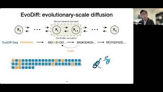 Protein generation with evolutionary diffusion sequence is all you need [upl. by Lenzi]