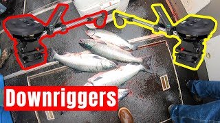 How to use Downriggers Salmon Edition [upl. by Sidon]