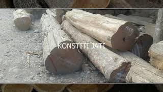 Teak Wood Price and More  Teak Wood Complete Details in Hindi [upl. by Ahsac287]