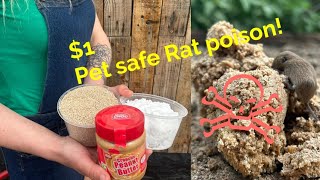 Making Pet Friendly Rat Mouse poison for cheap [upl. by Lyda]