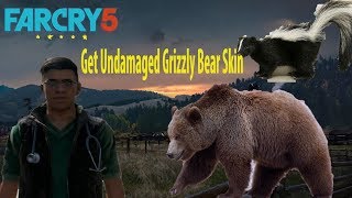 How to find Skunk Skin Locations Far Cry 5 [upl. by Hardan]