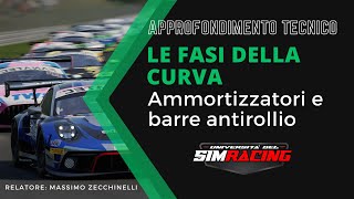 Approfondimento SimRacing Le Fasi della Curva  Ammortizzatori e Barre AntiRollio [upl. by Dania]