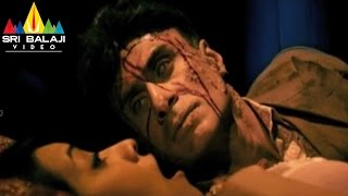 Aatma Telugu Movie Part 411  Mahaakshay Chakraborty Twinkle Bajpai  Sri Balaji Video [upl. by Grieve]