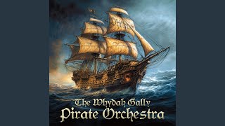 The Whydah Gally Pirate Orchestra [upl. by Araz840]