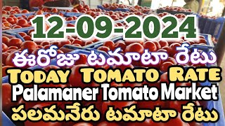 పలమనేరు 🍅🍅🍅టమాటో మార్కెట్ ధరలు 12092024 ఈ రోజు టమోటా ధర Palamaner Marketckgowthamvlogs [upl. by Wenz803]