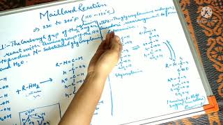 Browning Reaction Part 3 NonEnzymatic Part 2  Maillard Reaction [upl. by Esyla901]