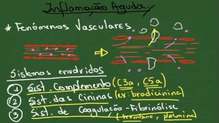 Inflamação Aguda  Resumo  Patologia Geral [upl. by Nileve]