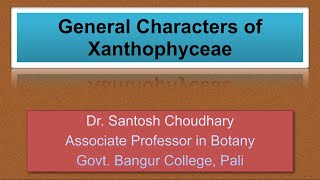 General Characters of Xanthophyceae  Dr Santosh Choudhary [upl. by Cobbie]