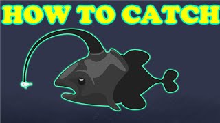 Cat goes fishing HOW TO CATCH MASKFISH [upl. by Aysab]