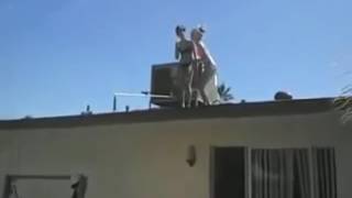 Mallorca  Balconing Fail Magaluf  OMG 2016 [upl. by Acinot897]