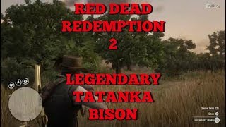 RDR2 HUNTING THE LEGENDARY TATANKA BISON [upl. by Akimet]