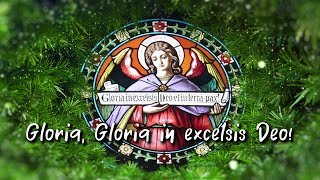 GLORIA GLORIA IN EXCELSIS DEO [upl. by Nosnirb146]