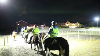 Horseback Ride Under the Northern Lights in Norway [upl. by Ashlan]