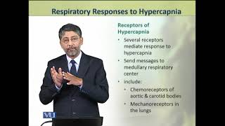 Respiratory Responses to Hypercapnia  Animal Physiology and Behavior Theory  ZOO502TTopic163 [upl. by Nauqad718]