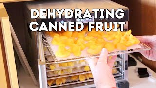 Dehydrating Canned Fruit [upl. by Kcinom]