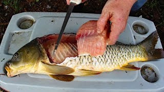 Catch and Cook Carp  How to cook carp  carp fishing tips amp carp recipe [upl. by Sigfrid]