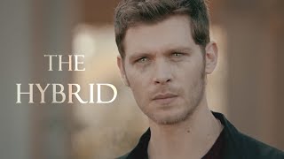 Klaus Mikaelson  The Hybrid [upl. by Bianchi569]