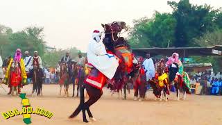 Kotokoli Horse dance La danse du cheval chez les Kotokoli Sokodé Togo Africa [upl. by Hays]