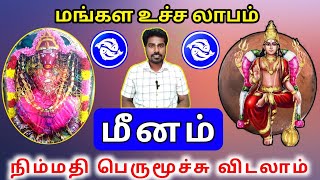 Meena rasi sevvai peyarchi palan 2024 மீனம் ராசிக்கு செவ்வாய் பெயர்ச்சி பலன்கள் [upl. by Crowley]