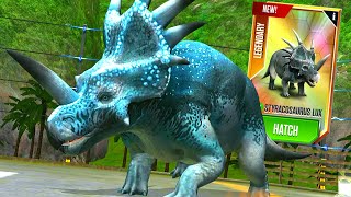 NEW STYRACOSAURUS LUX X3 MAX LEVEL 40  HT GAME [upl. by Cassius878]