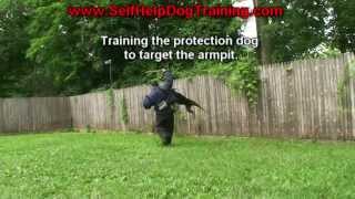 Doberman Attack Trained to Bite the Arm Pit K91com [upl. by Chubb]