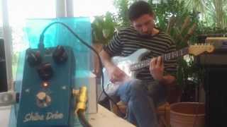 SUHR SHIBA DRIVE  test by Sylvain Gambini [upl. by Hsizan]