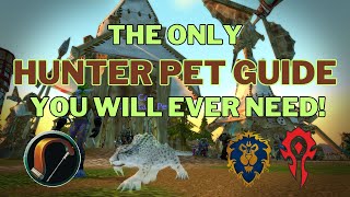 Hunter Pet Guide For World Of Warcraft Classic  Season Of Discovery [upl. by Aoht]