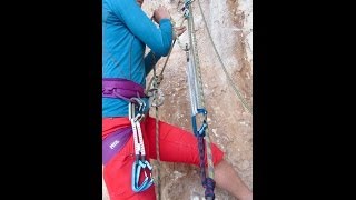 51 Pulley System with a Petzl Reverso [upl. by Teri326]