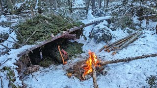 Survival Shelter  Winter Bushcraft Camping in Snow Campfire Cooking Post Snow Storm [upl. by Eiboh]