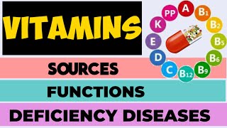 VITAMINS Sources functions amp Deficiency diseases  class6  Chapter2  science NCERT [upl. by Erasaec]