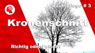 Kronenschnitt  Element der Baumpflege [upl. by Scornik]