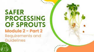 Sprouts Module 2 Requirements and Guidelines  Part 2 [upl. by Rebmaed]