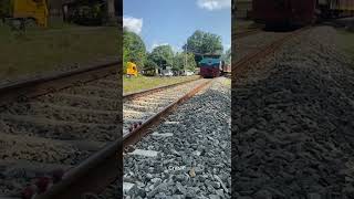 Train VS Nephelium lappaceum 🍓 youtubeshorts automobile trainsignal train viral railway [upl. by Erdua222]