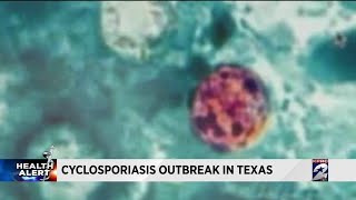 Cyclosporiasis outbreak in Texas [upl. by Gurias52]