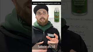 Sustainable Gardening Silicic Acid  The Natural PGR Solution aus organicsoil gardeningtips [upl. by Mcconaghy264]