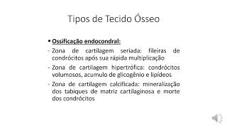 Tipos de Tecido Ósseo ossificação endocondral [upl. by Ainaj]